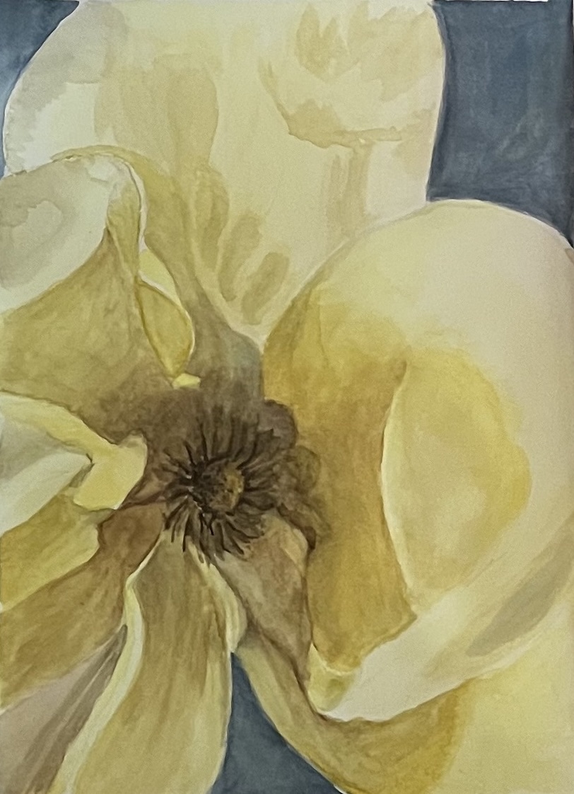 I Painted a Flower Last&nbsp;Night.