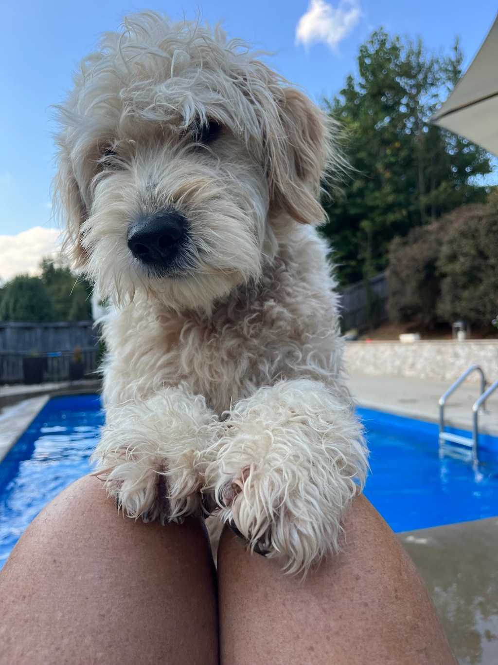 I Don’t Live&nbsp;Here